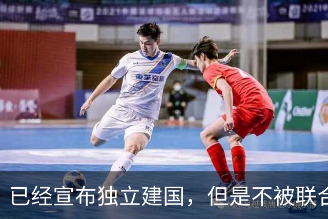 已经宣布独立建国，但是不被联合国承认的5个国家