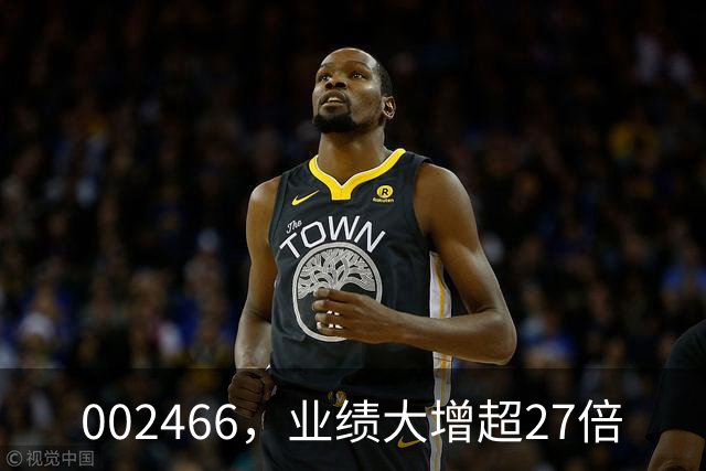 002466，业绩大增超27倍